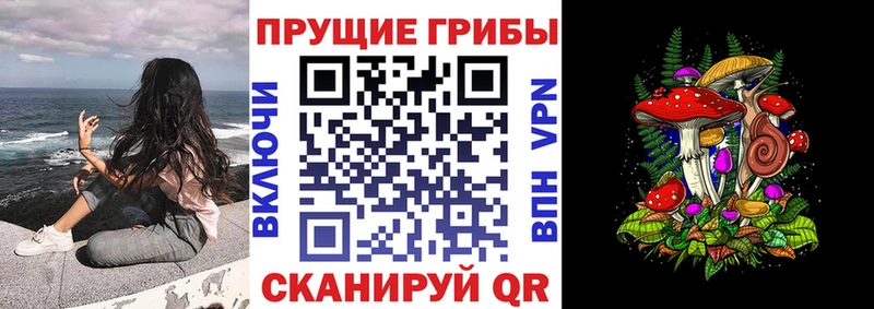 Псилоцибиновые грибы MAGIC MUSHROOMS  Тихвин 