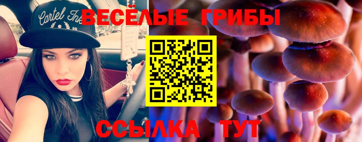 Псилоцибиновые грибы GOLDEN TEACHER  Псилоцибиновые грибы GOLDEN TEACHER  Вход с VPN  Тихвин 
