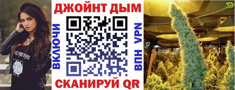 Конопля план  где найти   Тихвин 